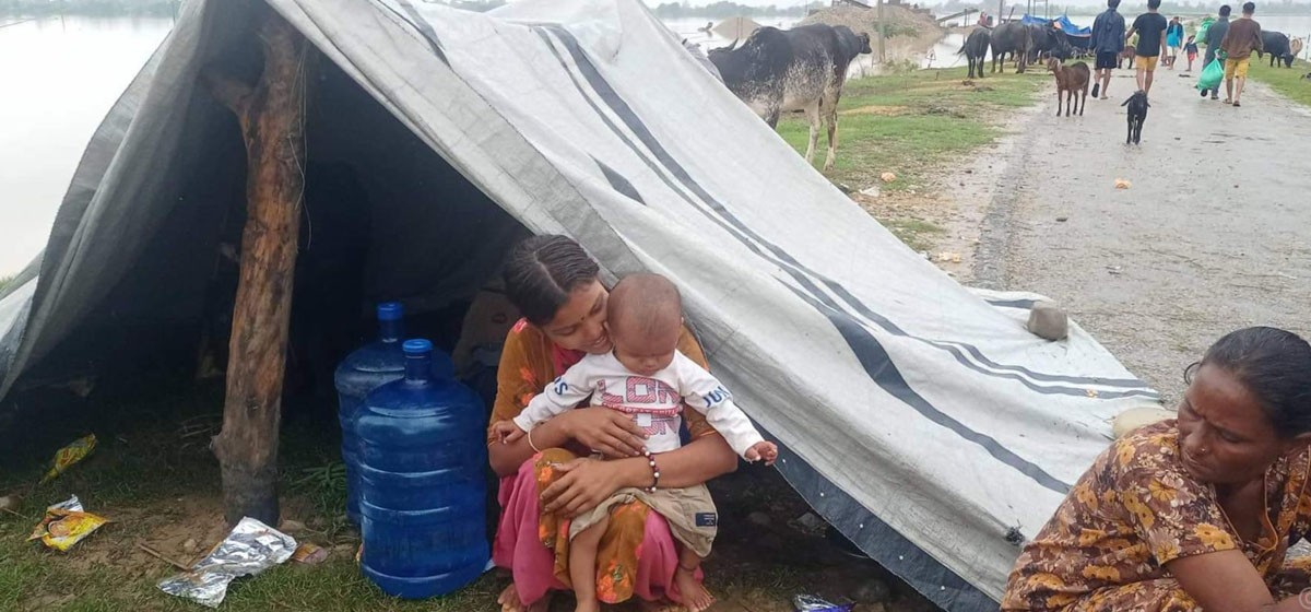 कैलाली बाढी : 'सडकमा बसेका गर्भवती र सुत्केरी समस्यामा, विद्यालयमा आश्रय'