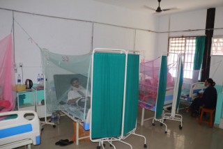 डेंगुबाट एकैदिन ४ जनाको मृत्यु  : 'संक्रमित संख्या २७ हजार नाघ्यो, सरकार माैन'