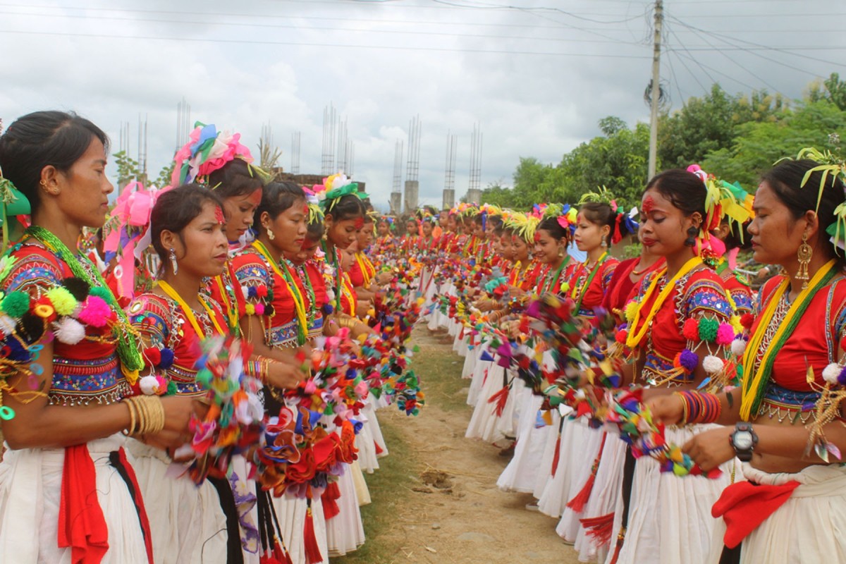  थारु समुदाय :   'सखिया नृत्य देखाउँदै  थारु युवती '