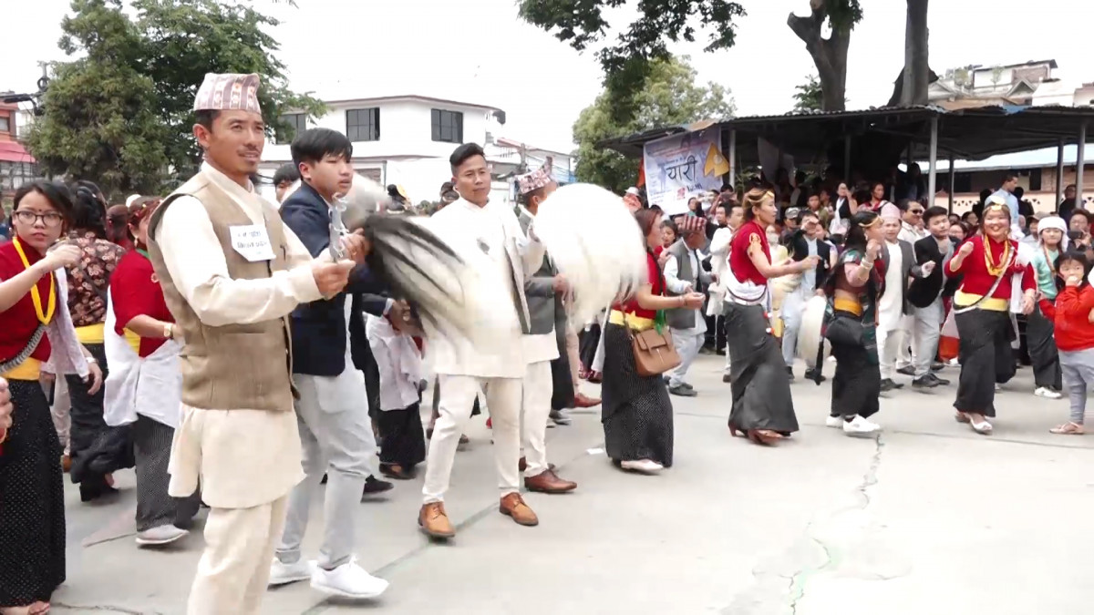 Sakela.jpg