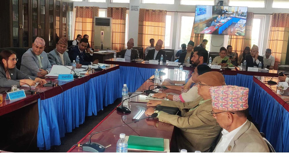 अख्तियार प्रमुख राईलाई सांसद लामिछानेको प्रश्न  ?  : "  खोइ त ठूला माछा ? "
