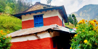 महान   पर्व   बडादशैँ    : "  रातोमाटो र कमेरोले पोतिन छोडे गाउँका घर "