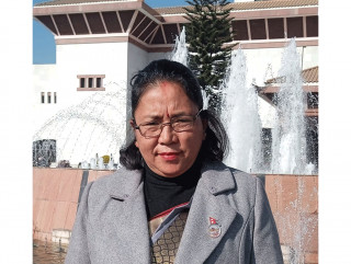 सांसद श्रेष्ठ भन्नु्हुन्छ  : ' सांसदले आफूलाई लागेको स्वतन्त्ररुपमा राख्न पाउनुर्छ '