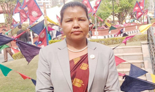 सांसद चौधरी भन्नुहुन्छ :  "  कानुन निर्माण गर्दा देशभन्दा दल हेरिँदो रहेछ ! "