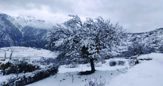हिउँदेयामको पहिलो हिमपात  ः  " किसान खुसी, हिउँले जिल्लानै भरियो "