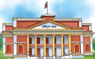 समितिले सरकारलाई दिएका निर्देशन : " कार्यान्वयनको अवस्थाबारे अनुगमन आवश्यक "