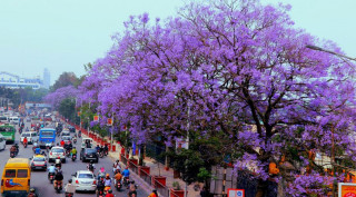 ‘एयर क्वालिटी इन्डेक्स  मा सुधार  : ' वर्षासँगै काठमाडौँको प्रदूषण कम हुँदै'