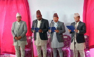 कांग्रेस सरकारमा सहभागी   :   " नयाँ अनुहारले पाए  मौका "