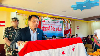 'सरकार जनताको पिरमर्का चाँडो सम्बोधन गर्न लागेको छ' :  उपप्रधानमन्त्री सिंह