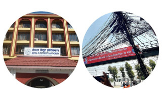  चालु आवको तीन महिना : '  प्राधिकरणको नाफा नौ अर्ब ११ करोड "