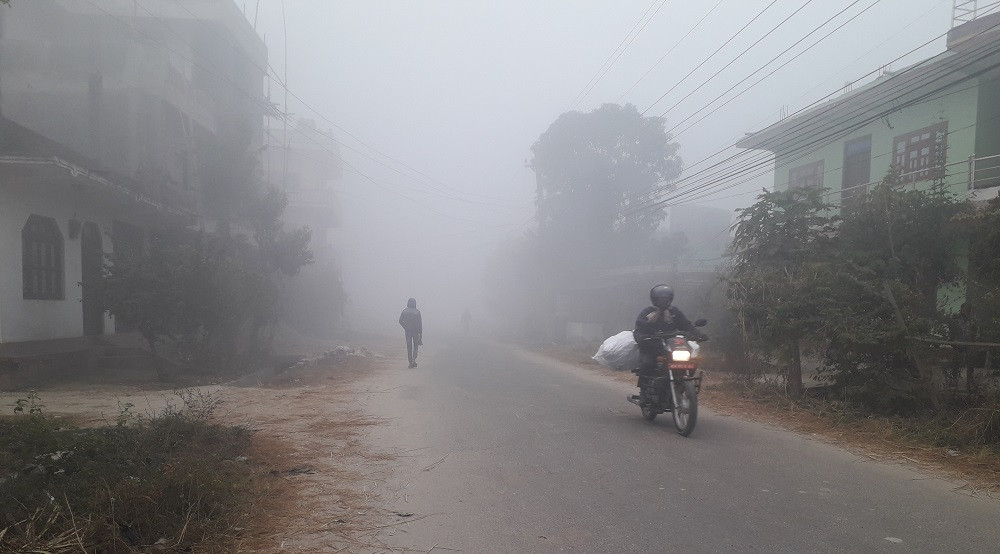 बाक्लो कुहिरोले चिसो बढ्यो  : "  तराई मधेसको जनजीवन प्रभावित "