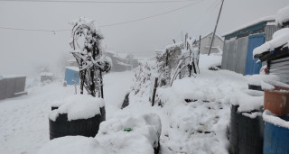 उच्च हिमाली क्षेत्र : '  पाथीभरासहित ताप्लेजुङमा हिमपात '