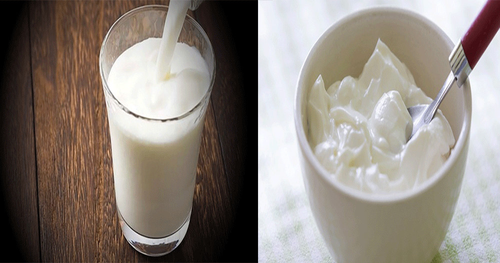 milk-and-curd.gif