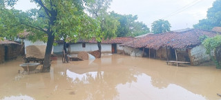 वर्षा लाग्यो स्थानीय  त्रासमा : ' थातथलो छाडेर भाग्नुपर्ने पीडा ताजै '