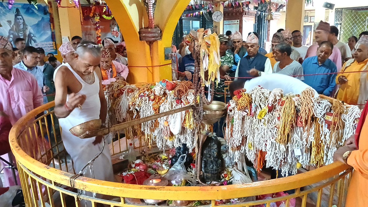 janai 5.jpg