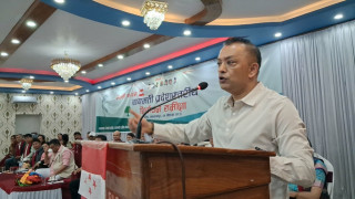 ' मेरोसहित सबैको सम्पत्ति -  कानुनसम्मत छानबिन गरिनुपर्छ '