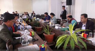 प्रतिनिधिसभा अर्थ समिति बैठक : ' आगामी बजेटबारे छलफल '
